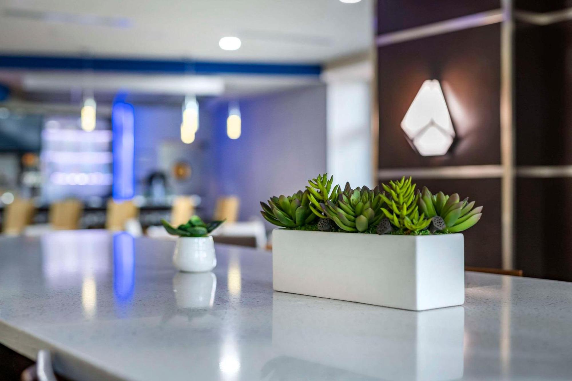 Cambria Hotel Ft Lauderdale, Airport South & Cruise Port Дейния Бийч Екстериор снимка